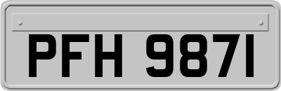 PFH9871