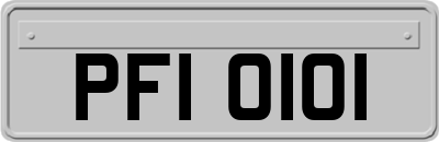 PFI0101