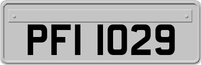 PFI1029