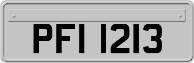 PFI1213