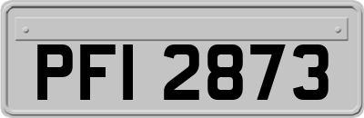 PFI2873