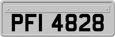 PFI4828