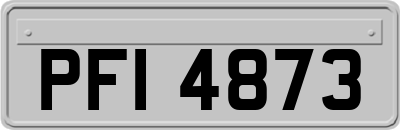PFI4873