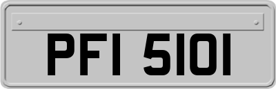 PFI5101