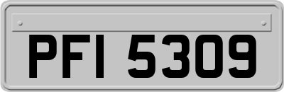 PFI5309