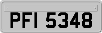 PFI5348