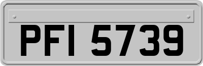 PFI5739
