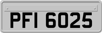 PFI6025