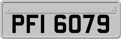 PFI6079