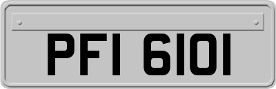 PFI6101