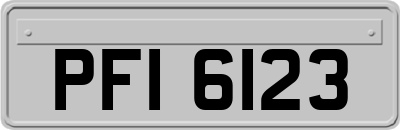 PFI6123