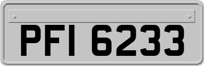 PFI6233