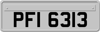 PFI6313