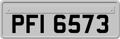 PFI6573