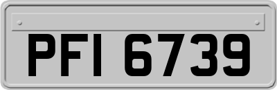 PFI6739