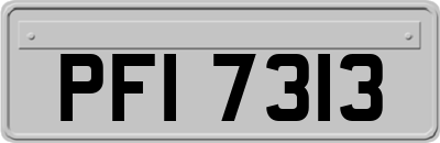 PFI7313