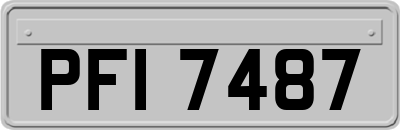 PFI7487