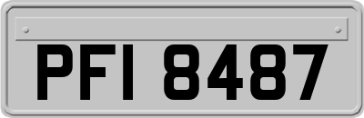 PFI8487
