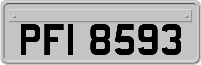 PFI8593