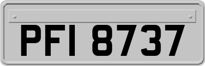PFI8737
