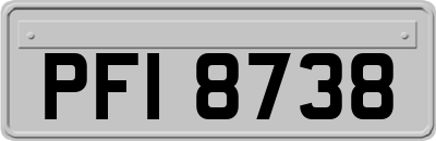 PFI8738