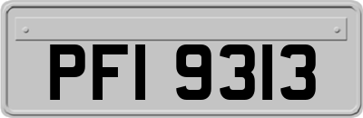 PFI9313