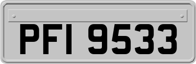 PFI9533