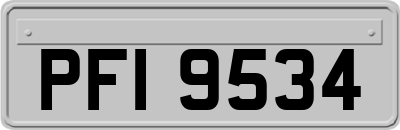 PFI9534