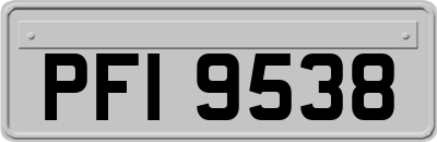 PFI9538