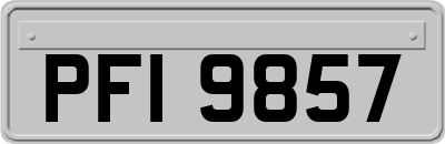 PFI9857