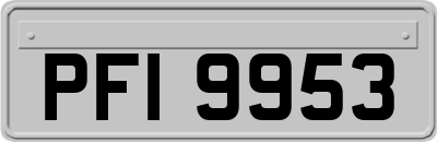 PFI9953