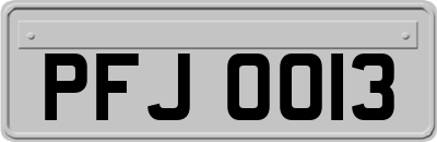 PFJ0013