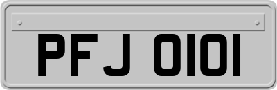 PFJ0101
