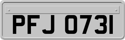 PFJ0731