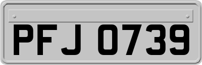 PFJ0739