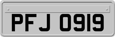 PFJ0919