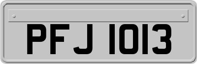 PFJ1013