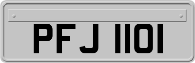 PFJ1101
