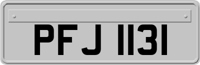 PFJ1131