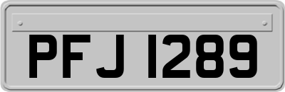 PFJ1289