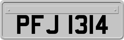 PFJ1314