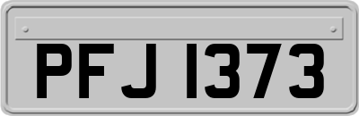 PFJ1373