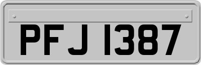PFJ1387