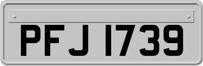 PFJ1739