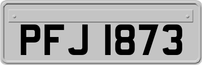 PFJ1873