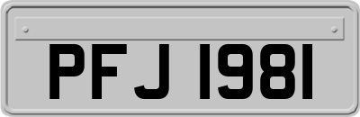 PFJ1981