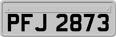 PFJ2873
