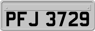 PFJ3729