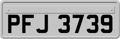 PFJ3739