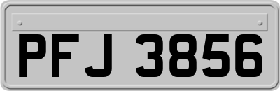 PFJ3856